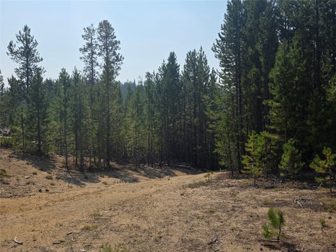 Tiny photo for NhN Sparo #10467, Butte, MT 59701 (MLS # 30076652)