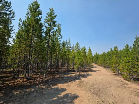 Tiny photo for NhN Sparo #10467, Butte, MT 59701 (MLS # 30076652)
