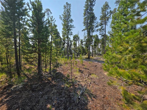 Tiny photo for NhN Sparo #10467, Butte, MT 59701 (MLS # 30076652)