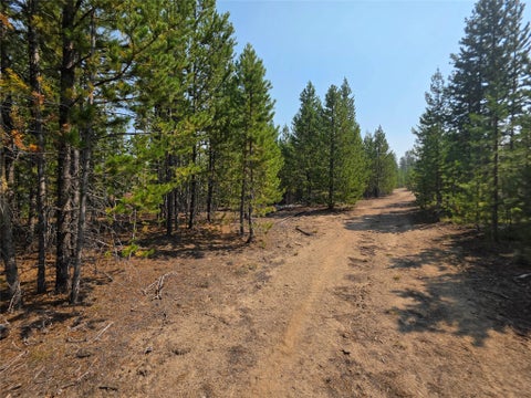 Tiny photo for NhN Sparo #10467, Butte, MT 59701 (MLS # 30076652)
