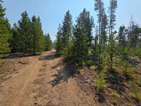 Tiny photo for NhN Sparo #10467, Butte, MT 59701 (MLS # 30076652)