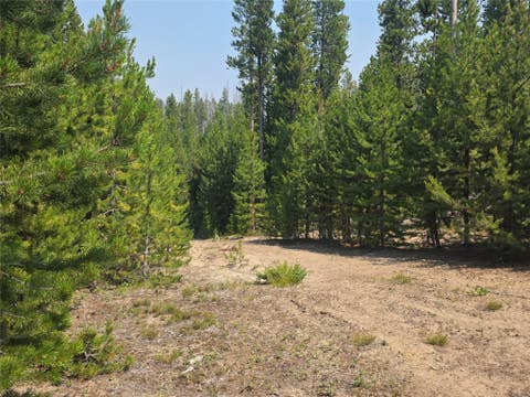 Tiny photo for NhN Sparo #10467, Butte, MT 59701 (MLS # 30076652)
