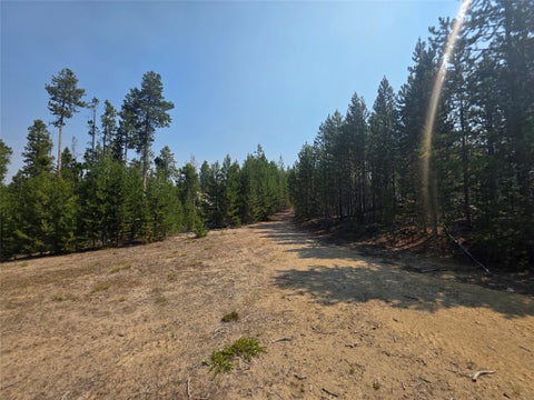 Tiny photo for NhN Sparo #10467, Butte, MT 59701 (MLS # 30076652)