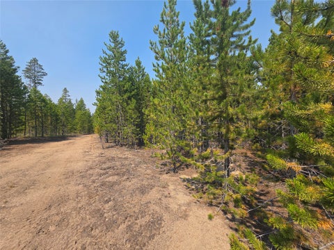 Tiny photo for NhN Sparo #10467, Butte, MT 59701 (MLS # 30076652)