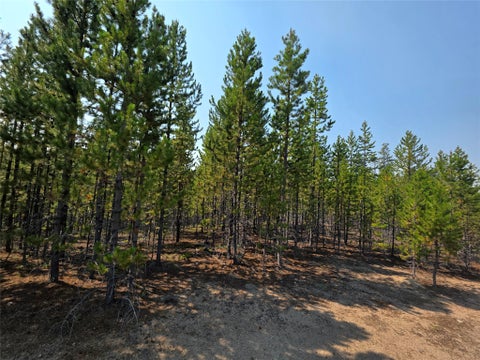 Tiny photo for NhN Sparo #10467, Butte, MT 59701 (MLS # 30076652)