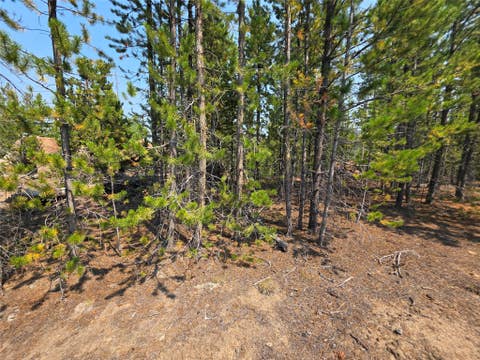 Tiny photo for NhN Sparo #10467, Butte, MT 59701 (MLS # 30076652)