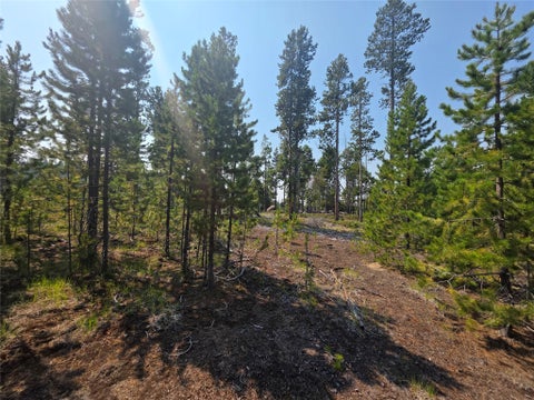 Tiny photo for NhN Sparo #10467, Butte, MT 59701 (MLS # 30076652)