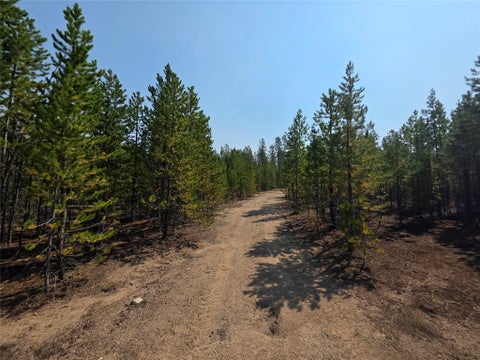 Tiny photo for NhN Sparo #10467, Butte, MT 59701 (MLS # 30076652)