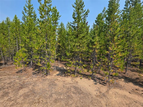 Tiny photo for NhN Sparo #10467, Butte, MT 59701 (MLS # 30076652)
