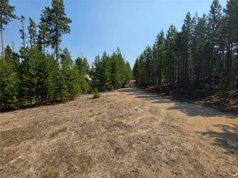 Tiny photo for NhN Sparo #10467, Butte, MT 59701 (MLS # 30076652)