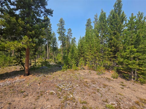 Tiny photo for NhN Sparo #10467, Butte, MT 59701 (MLS # 30076652)