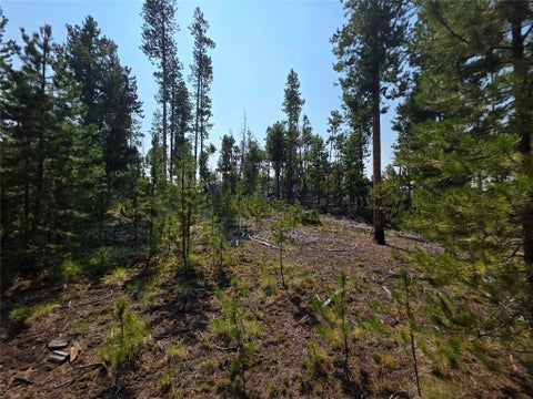 Tiny photo for NhN Sparo #10467, Butte, MT 59701 (MLS # 30076652)