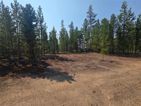 Tiny photo for NhN Sparo #10467, Butte, MT 59701 (MLS # 30076652)