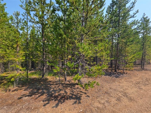 Tiny photo for NhN Sparo #10467, Butte, MT 59701 (MLS # 30076652)