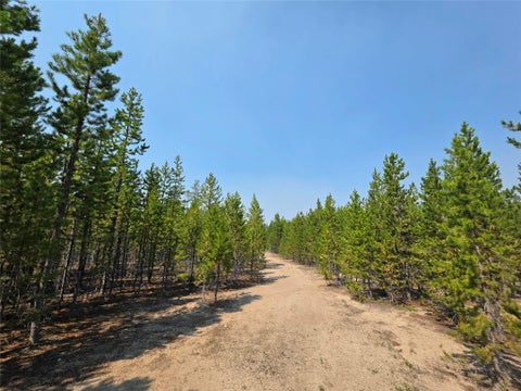 Tiny photo for NhN Sparo #10467, Butte, MT 59701 (MLS # 30076652)