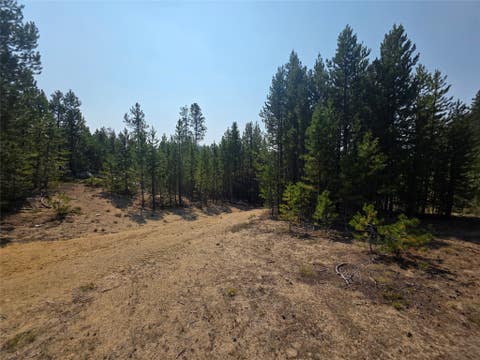 Tiny photo for NhN Sparo #10467, Butte, MT 59701 (MLS # 30076652)