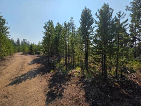 Tiny photo for NhN Sparo #10467, Butte, MT 59701 (MLS # 30076652)