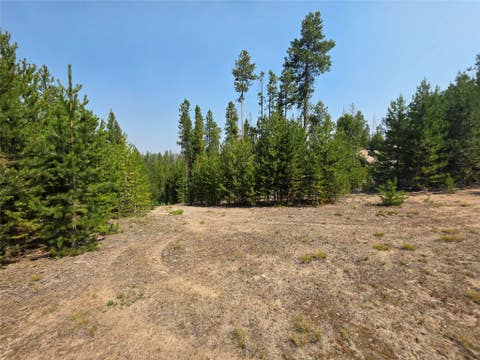 Tiny photo for NhN Sparo #10467, Butte, MT 59701 (MLS # 30076652)