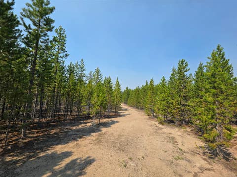 Tiny photo for NhN Sparo #10467, Butte, MT 59701 (MLS # 30076652)
