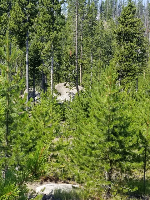Tiny photo for NhN Sparo #10467, Butte, MT 59701 (MLS # 30076652)
