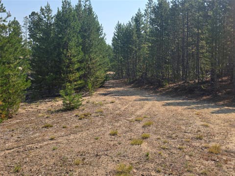 Tiny photo for NhN Sparo #10467, Butte, MT 59701 (MLS # 30076652)