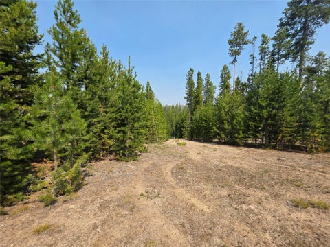 Tiny photo for NhN Sparo #10467, Butte, MT 59701 (MLS # 30076652)