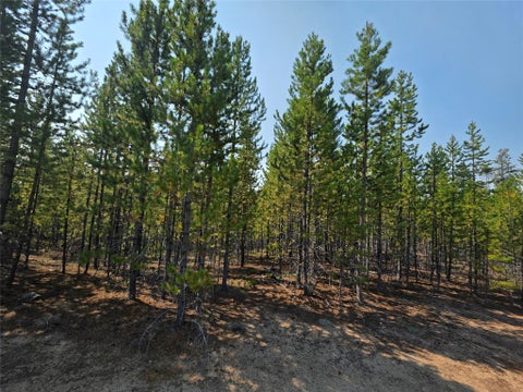 Tiny photo for NhN Sparo #10467, Butte, MT 59701 (MLS # 30076652)