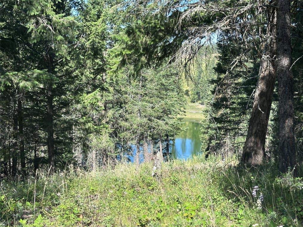 Photo of 196 Belterra Lane, Bigfork, MT 59911 (MLS # 30074786)