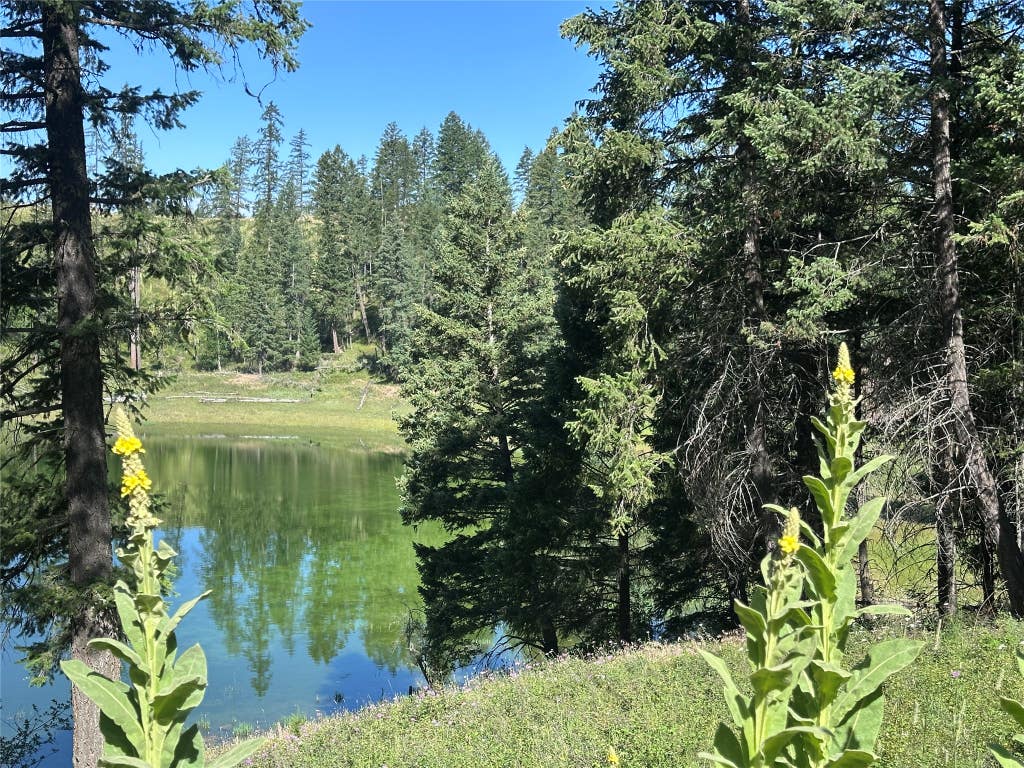 Photo of 196 Belterra Lane, Bigfork, MT 59911 (MLS # 30074786)