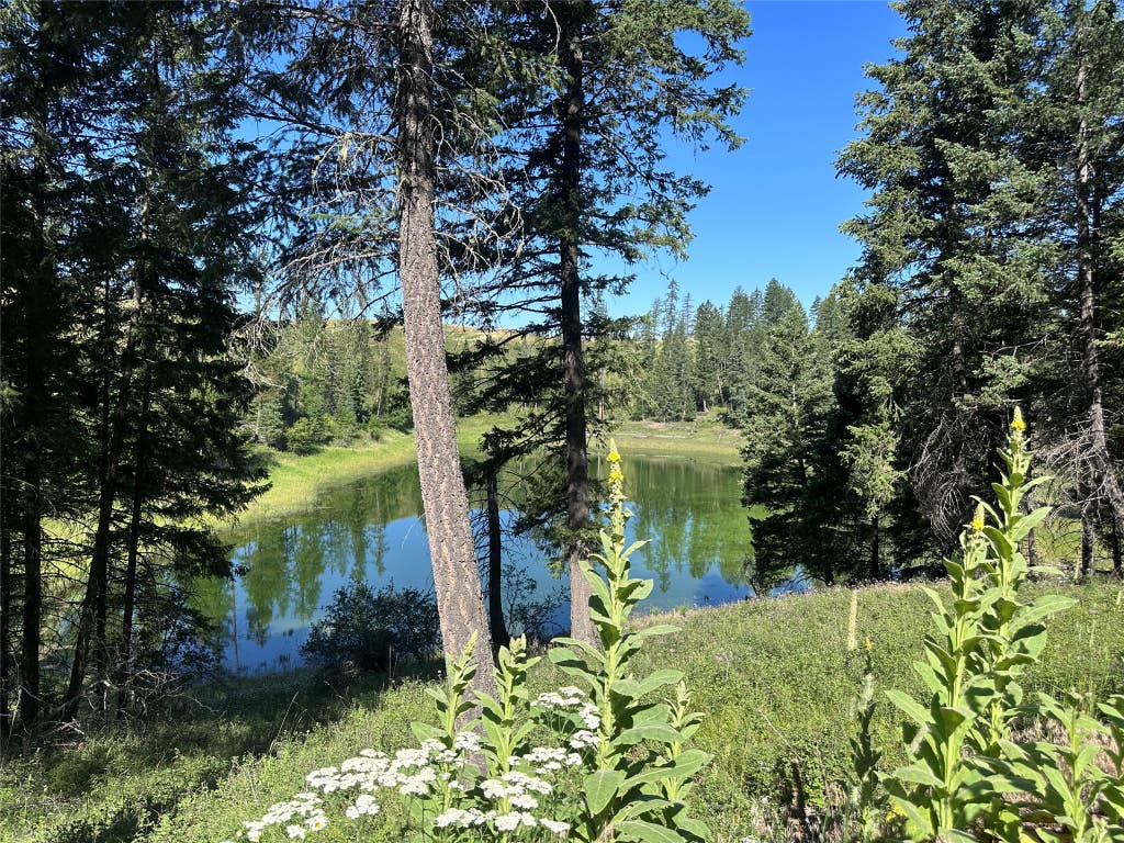 Photo of 196 Belterra Lane, Bigfork, MT 59911 (MLS # 30074786)