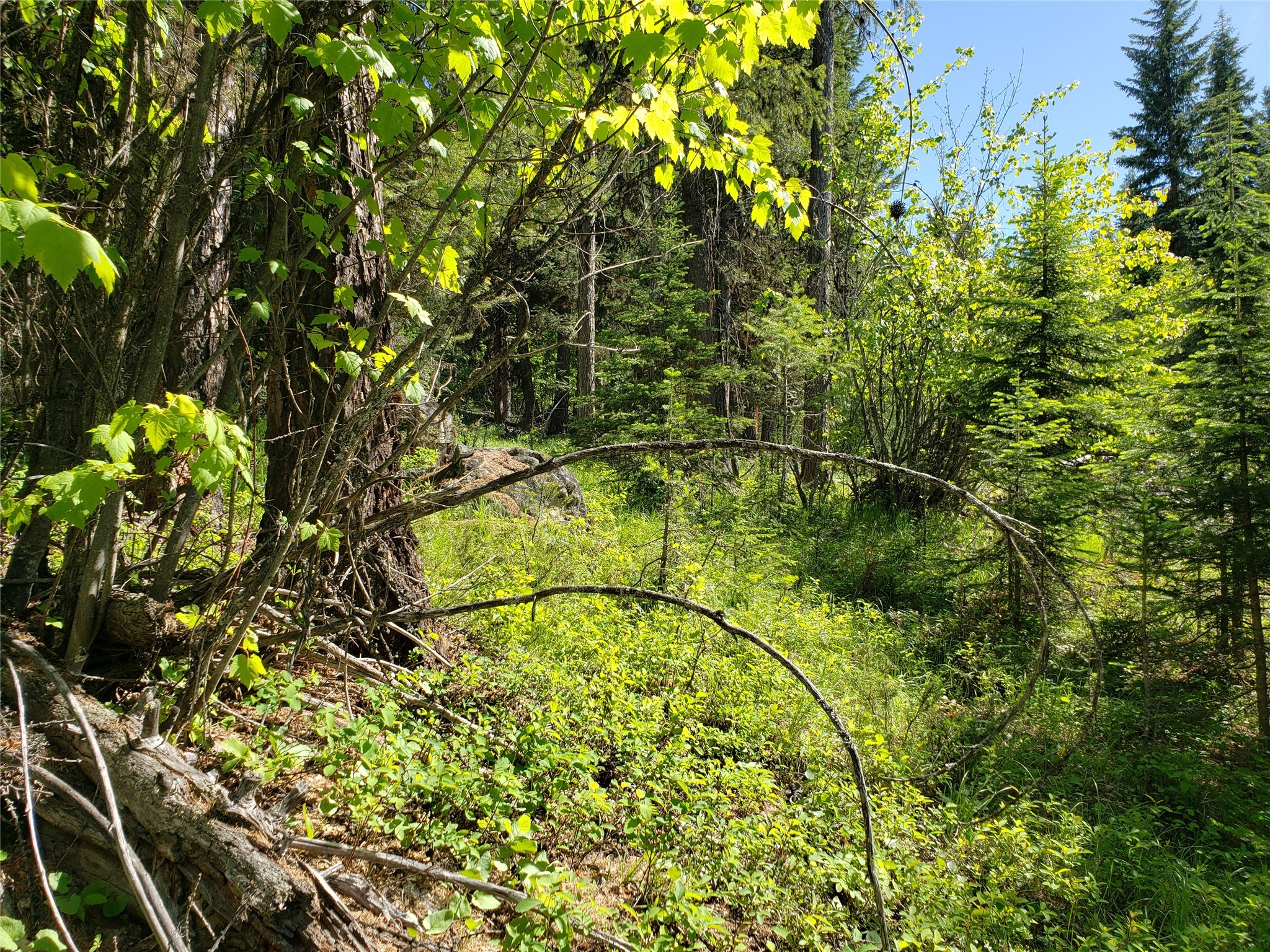 NHN Butcher Creek Road