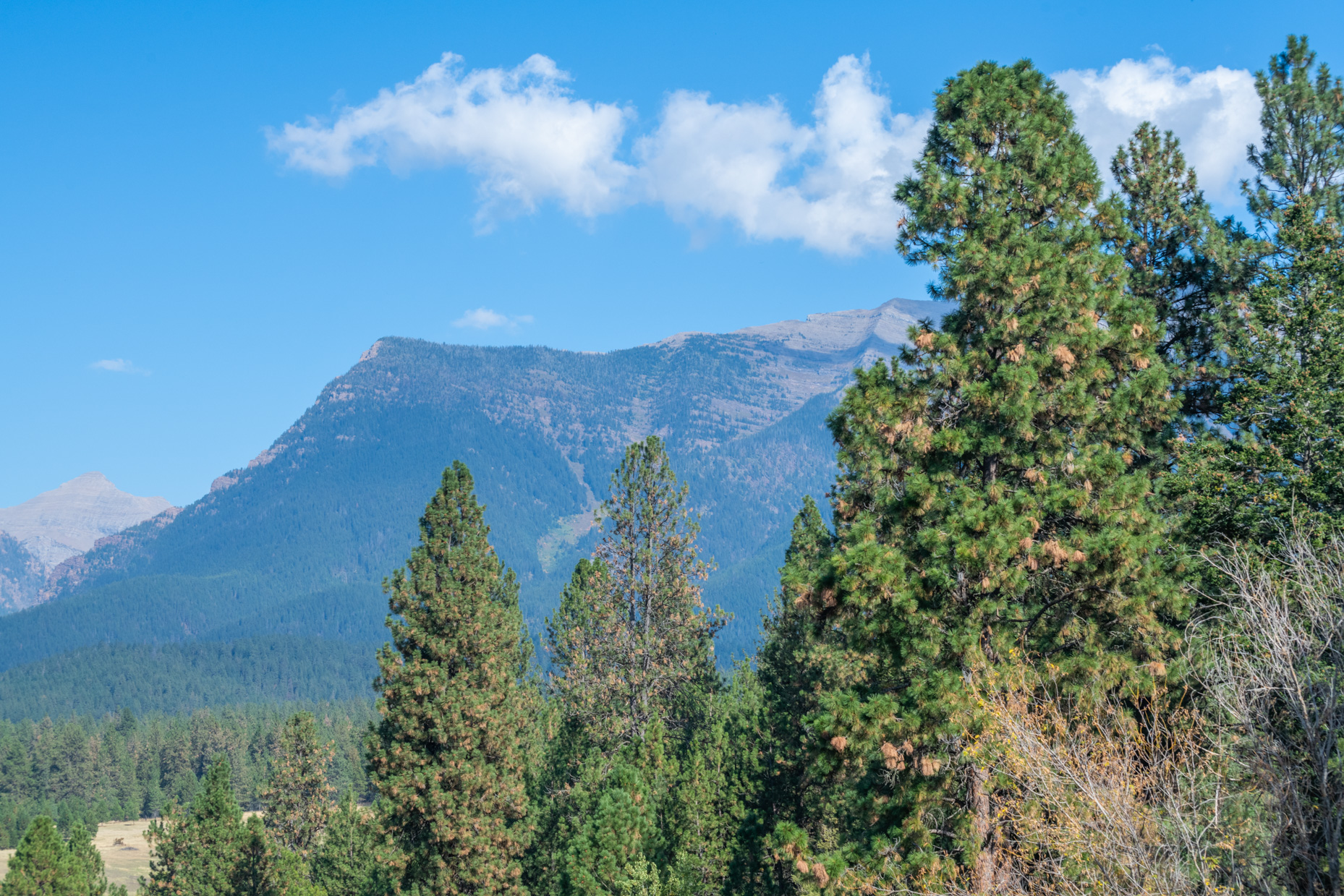 38712 Saint Marys Lake Road