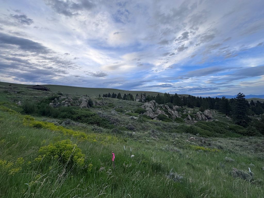 Photo of 4993 Smallwood Court, Helena, MT 59601 (MLS # 30065707)
