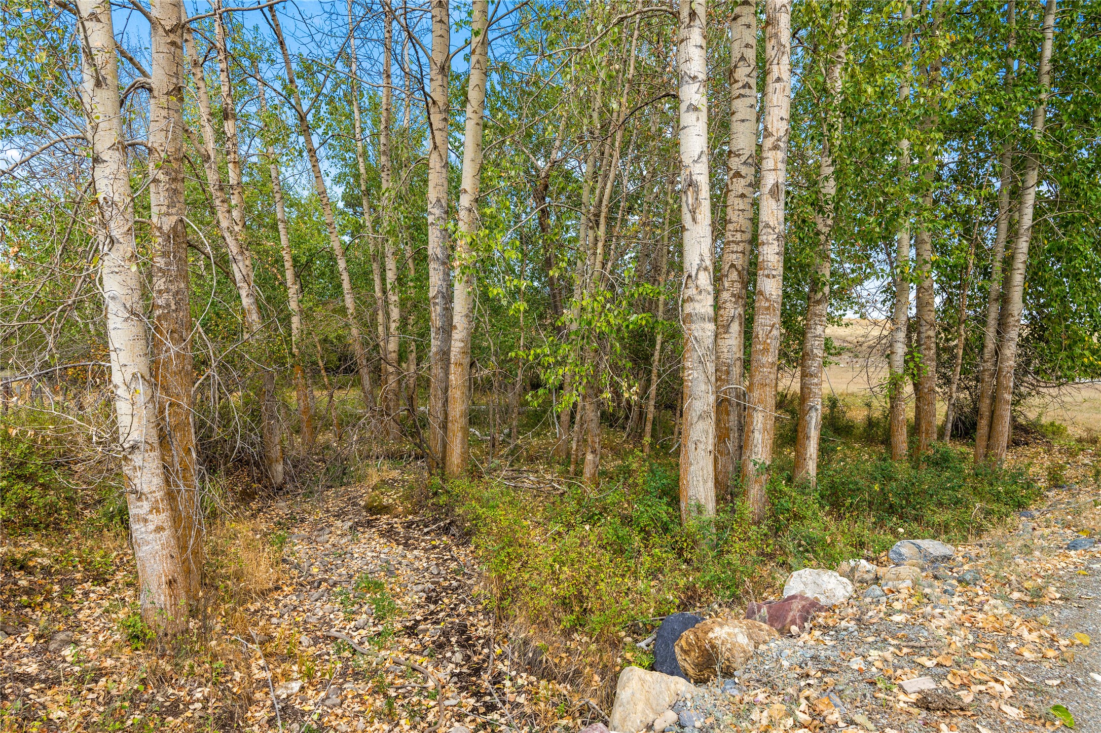 23234 Proctor School Road