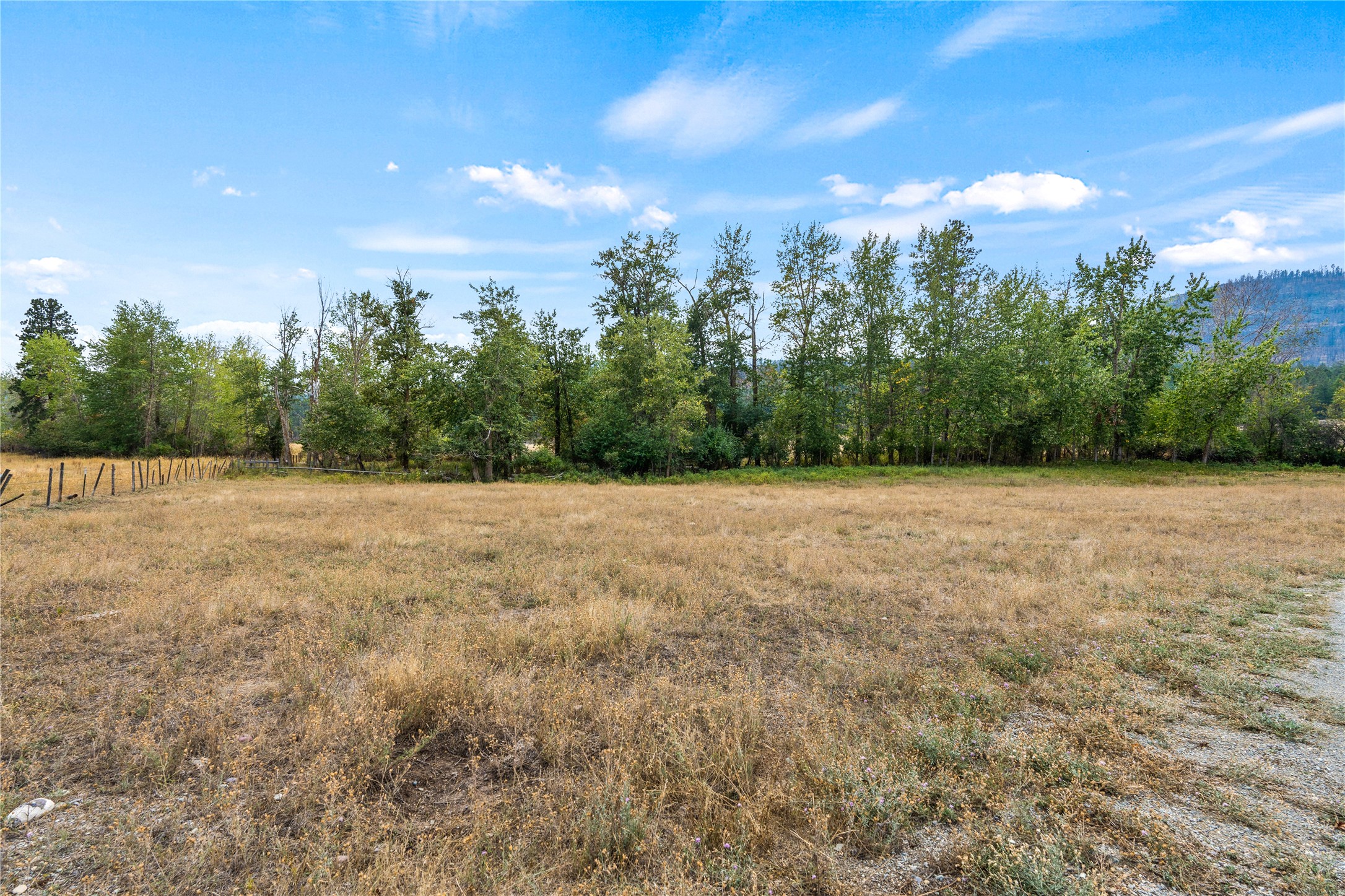 23234 Proctor School Road