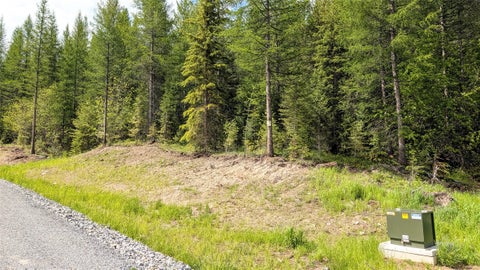 Tiny photo for 170 Bernard Creek Road, Kila, MT 59920 (MLS # 30072457)