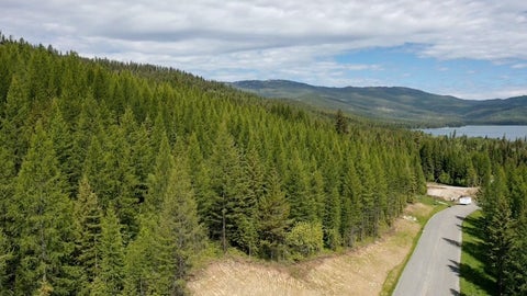 Tiny photo for 170 Bernard Creek Road, Kila, MT 59920 (MLS # 30072457)