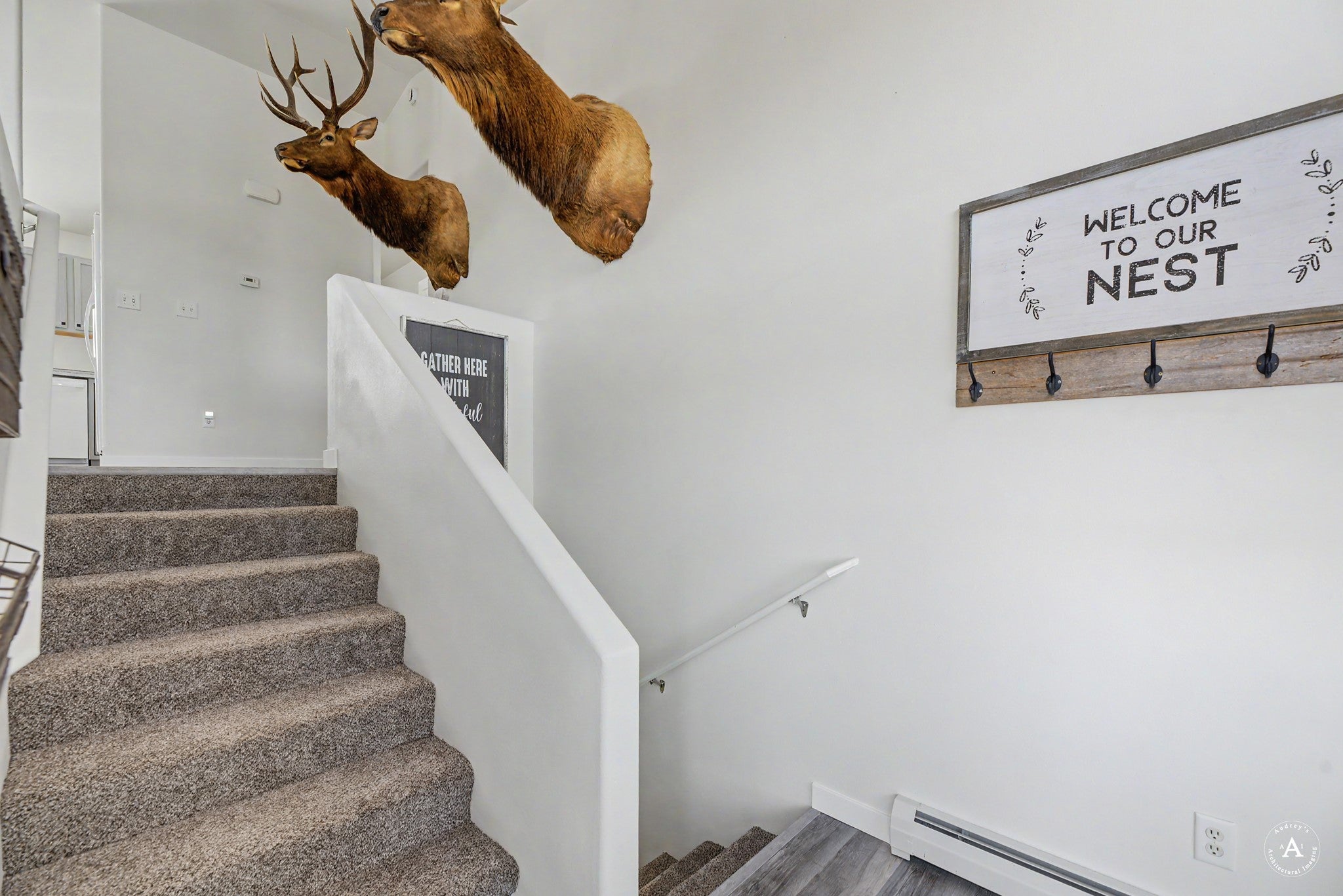 725 Pintail Court