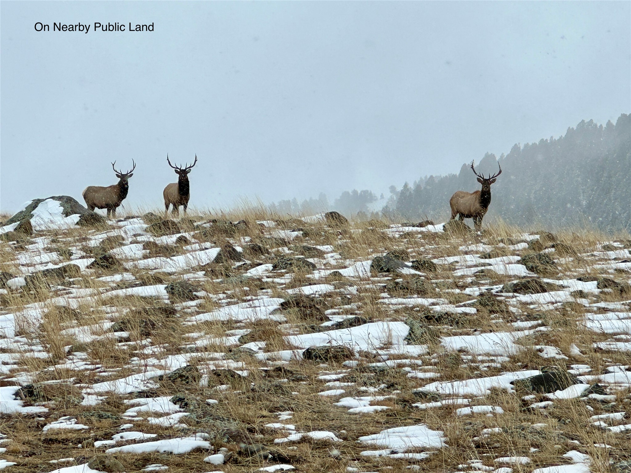 Lot 11 Quintana Lane