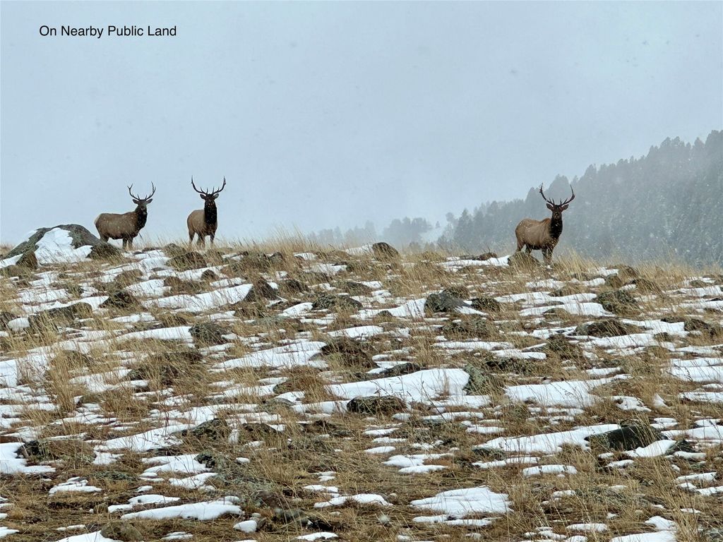 Photo of Lot 11 Quintana Lane, Boulder, MT 59632 (MLS # 30069540)