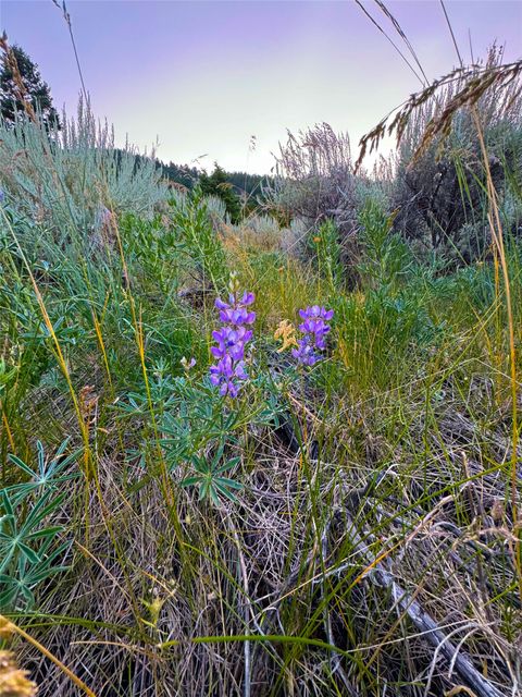 Tiny photo for Lot 11 Quintana Lane, Boulder, MT 59632 (MLS # 30069540)