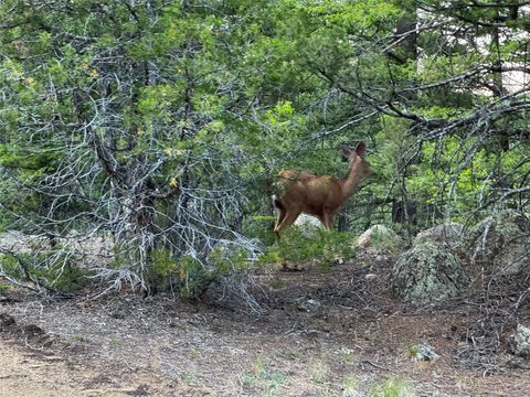Tiny photo for Lot 11 Quintana Lane, Boulder, MT 59632 (MLS # 30069540)