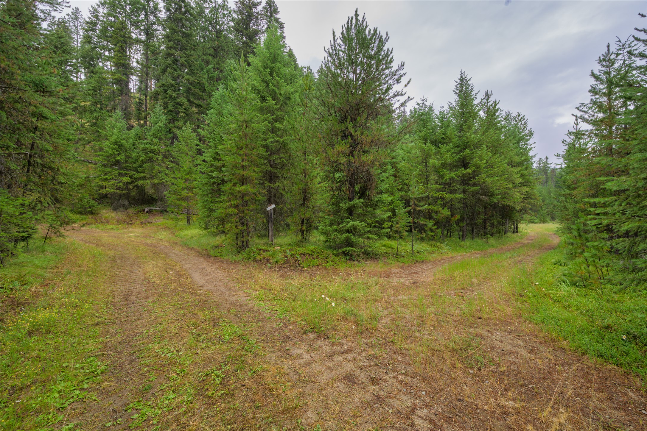 NHN Cabin City Loop Lot 51