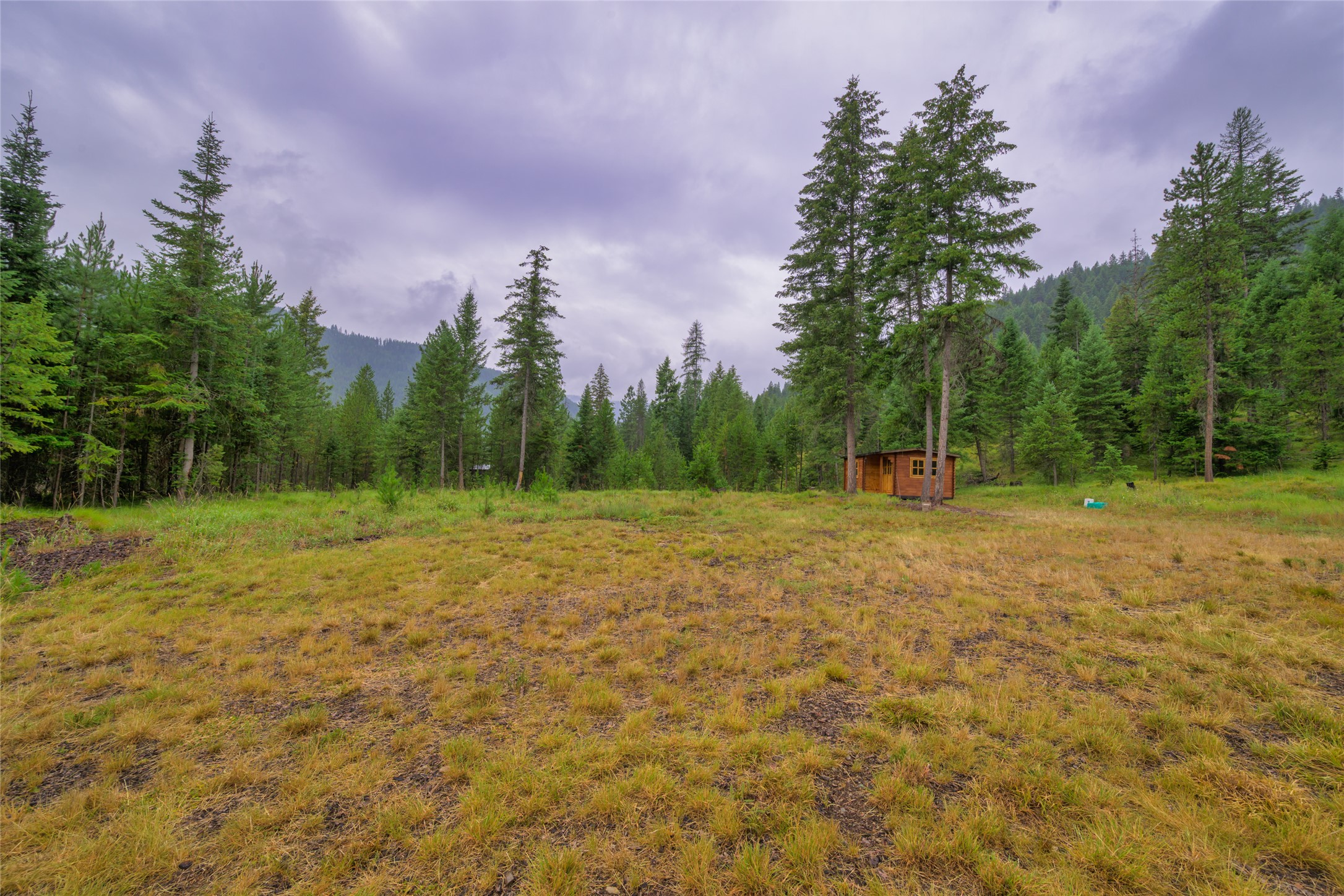 NHN Cabin City Loop Lot 51