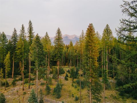 NHN Styler Drive Condon MT 59826