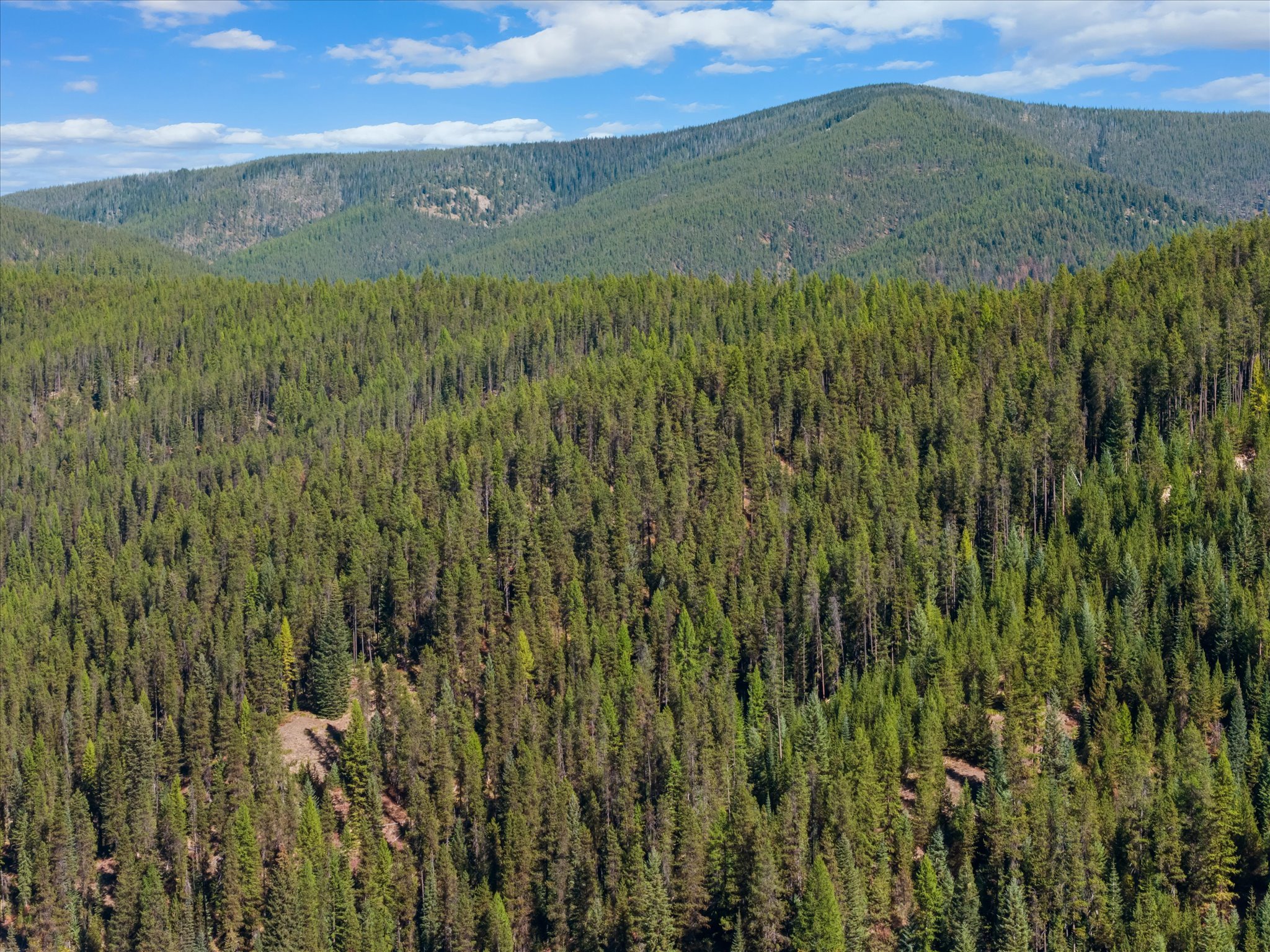 NHN Saltese Frontage Road