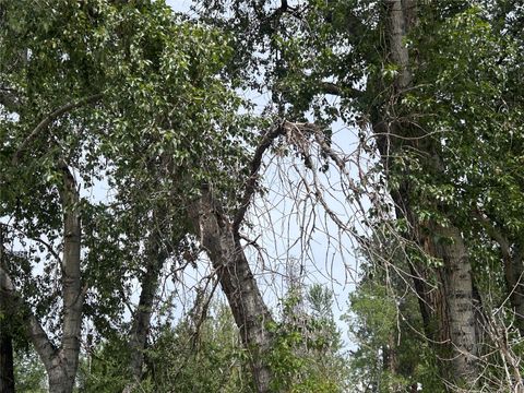 Tiny photo for 202 S Water Street, Darby, MT 59829 (MLS # 30071081)