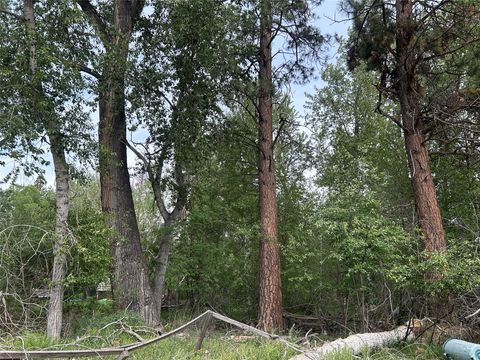 Tiny photo for 202 S Water Street, Darby, MT 59829 (MLS # 30071081)