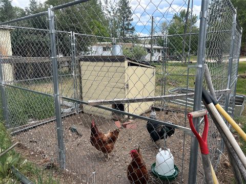 Tiny photo for 202 S Water Street, Darby, MT 59829 (MLS # 30071081)