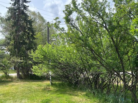 Tiny photo for 202 S Water Street, Darby, MT 59829 (MLS # 30071081)